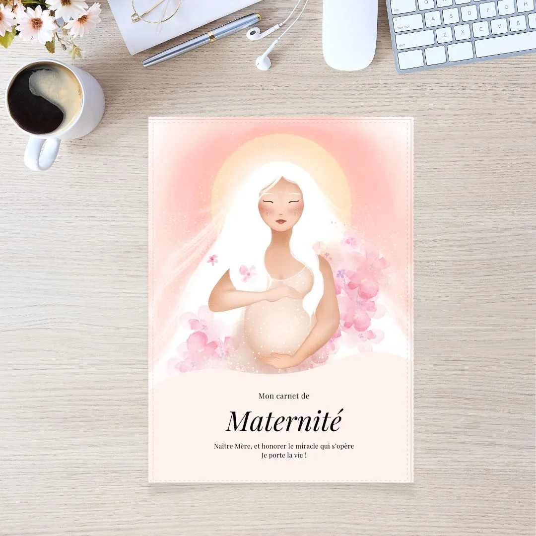 Pochette chemise à rabat dossier de grossessematernité carnet échographies résultats analyse livret porte documents bonnenuitmonange