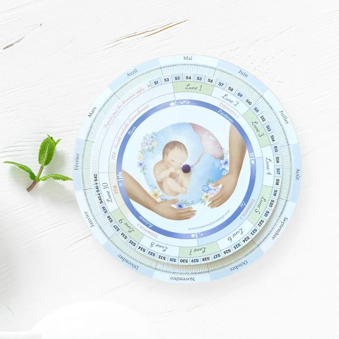 roue des saisons intérieures de la grossesse bonne nuit mon ange doula suivi des lunes semaines et trimestres de la grossesse papier